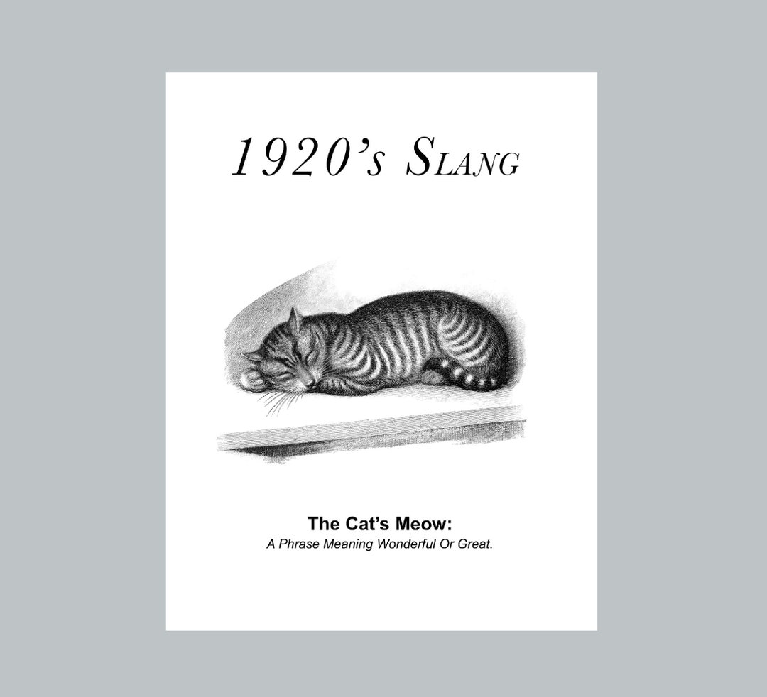Cats Meow Definition Print 1920s Slang Definition Print Etsy