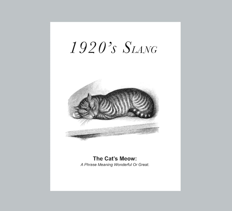 Cats Meow Definition Print 1920s Slang Definition Print Etsy