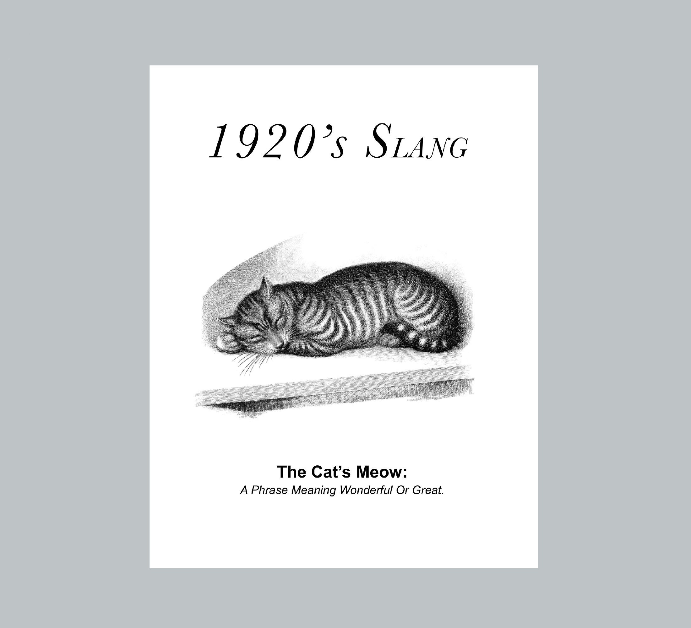 Cats Meow Definition Print 1920s Slang Definition Print Etsy