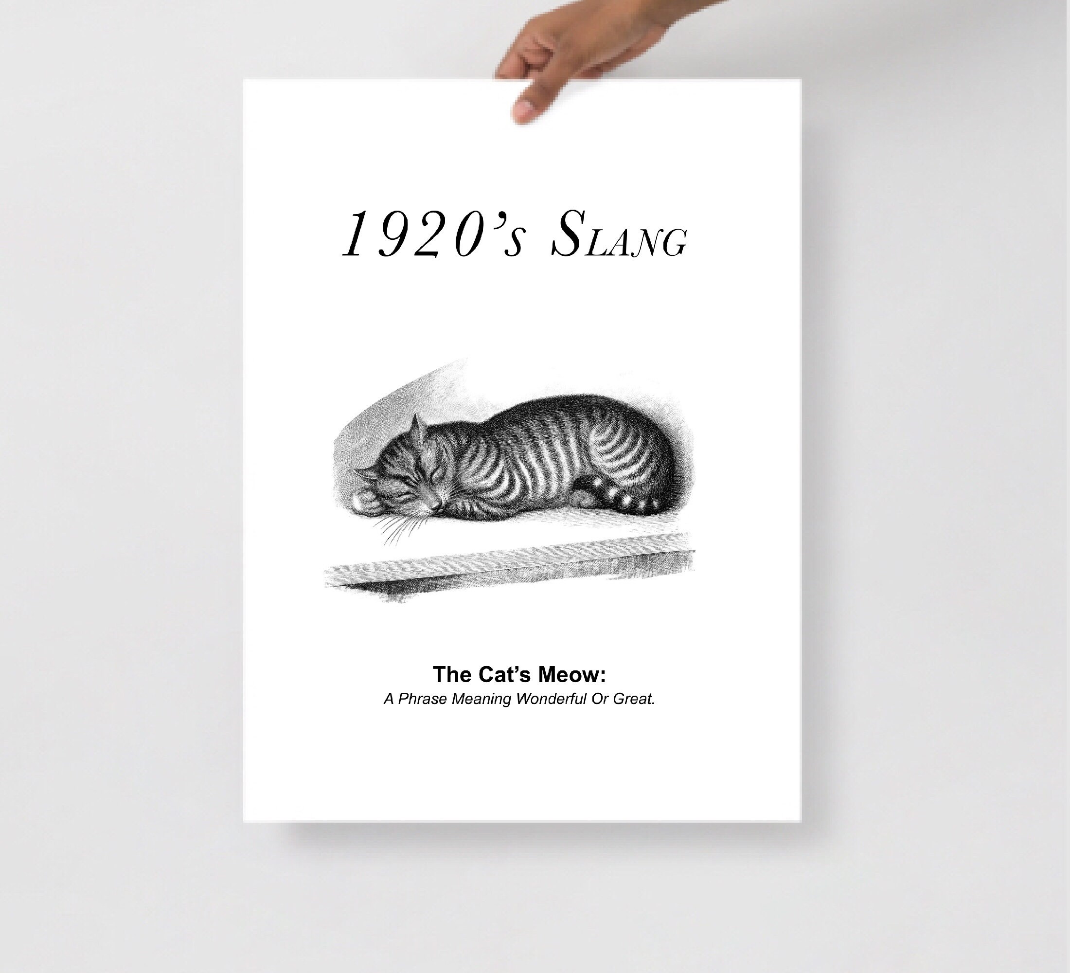 Cats Meow Definition Print 1920s Slang Definition Print Etsy