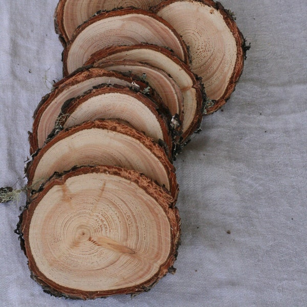 15 Douglas fir discs- wood discs, tree slices