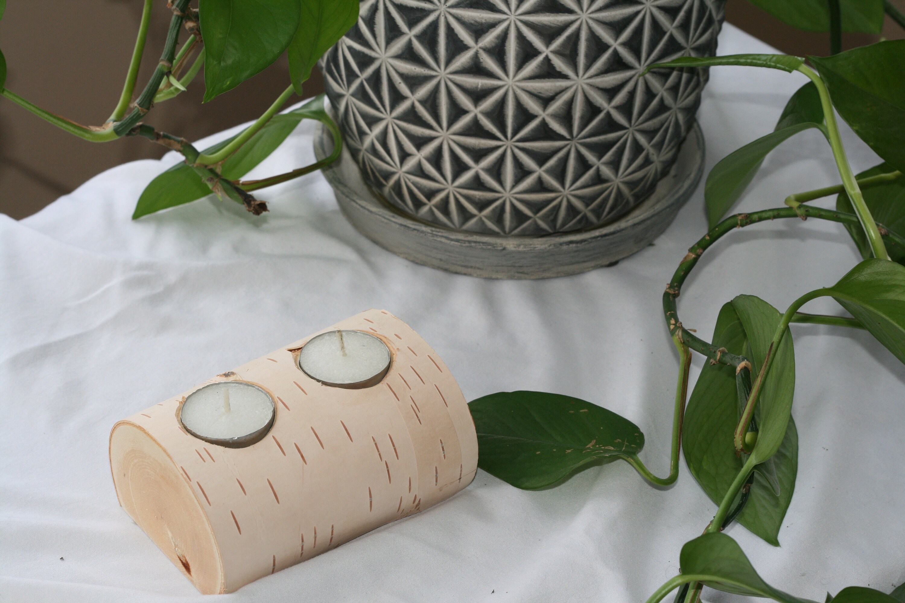 White birch tea light candle holder Etsy