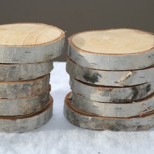 15 Birch discs- wood discs, birch tree slices