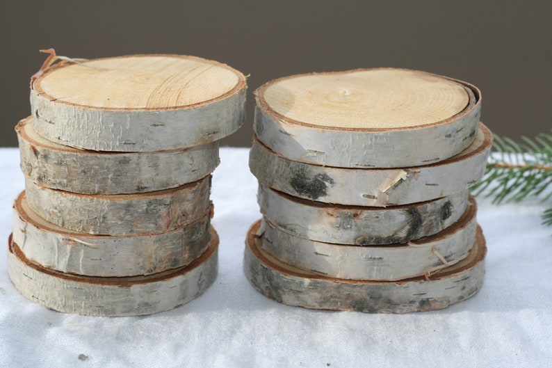 15 Birch discs- wood discs, birch tree slices