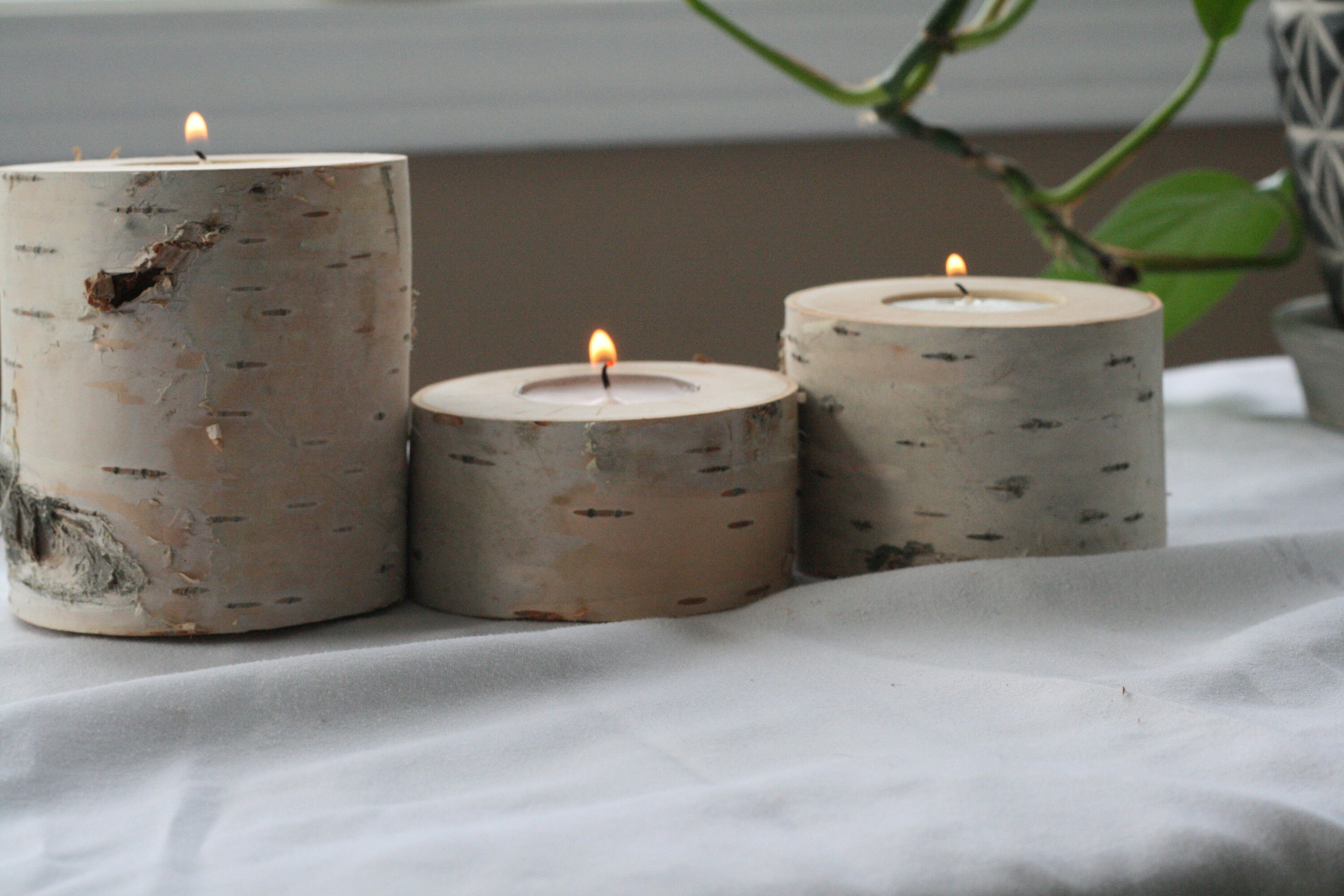Set of three birch tea light candle holders Etsy