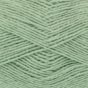 May include: A skein of soft, light green yarn. The yarn is made of natural fibers and has a smooth texture.