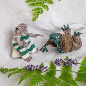 Personnages de grenouilles et de crapauds du conte pour enfants The Swim