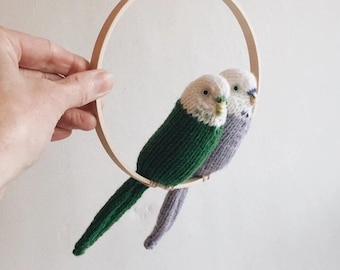 hand knitted Budgerigar in custom colours. Budgie lovers gift