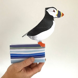 Carte macareux. Carte pop-up macareux 3D, carte pop-up oiseau