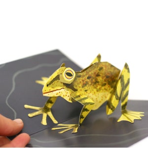 Carte pop-up grenouille, carte grenouille, carte pour lui, carte pour elle, fabriquée au Royaume-Uni, carte 3D
