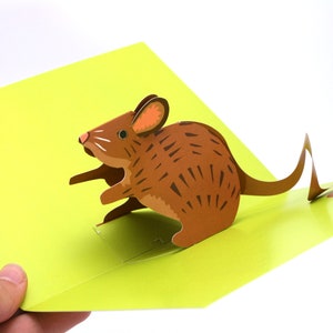 Carte pop-up avec souris, pop-up pour anniversaire, carte pour lui, carte pour elle, fabriquée au Royaume-Uni, carte 3D
