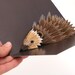 Hedgehog Pop-up card, Hedgehog card, Animal pop up card 