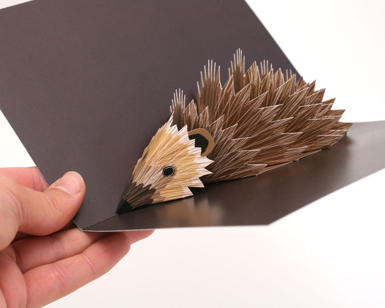 Hedgehog Pop-up card, Hedgehog card, Animal pop up card 