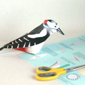 Wall Art, DIY Woodpecker, Paper Art Craft Project - Etsy