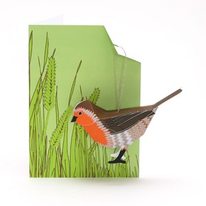 Carte rouge-gorge, carte pop-up rouge-gorge, décoration oiseau en papier