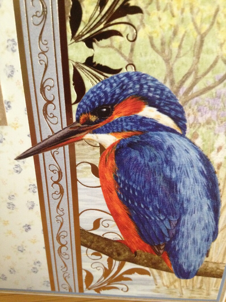 mens or ladies kingfisher bird themed birthday card etsy