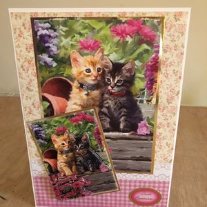 Gold Foiled 3d Decoupage Kitten Thème Toute carte d’occasion