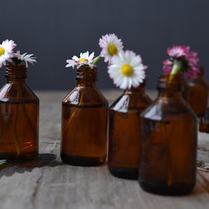 May include: Several small, brown glass bottles with white and yellow daisies and pink flowers inside. The bottles are arranged on a weathered wooden surface, with a dark gray background. Some bottles are upright, others are lying down.