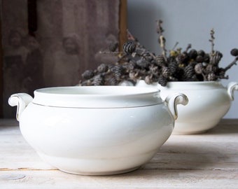 May include: Two white ceramic serving bowls with gold trim and handles. The bowls are filled with dried plants and sit on a light-colored wooden surface. The bowls have a classic, elegant design, suitable for serving food or as decorative pieces.