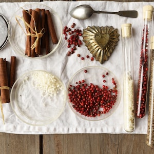 Piastra Petri in vetro vintage con coperchio – Barattolo per la conservazione scientifica – Contenitore in vetro trasparente impilabile per laboratorio – Marcato RESISTENT F69