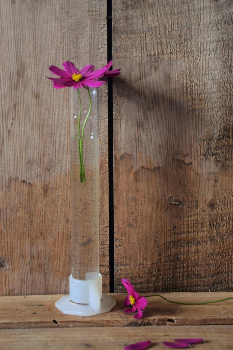 Vintage Measuring Glass Cup Laboratory Crucible Scientist Etsy