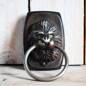May include: A dark bronze-toned metal door knocker featuring a sculpted lion head with a detailed mane and facial features. A circular metal ring is held in the lion's mouth, attached to a rectangular backplate with a visible mounting hole at the base.