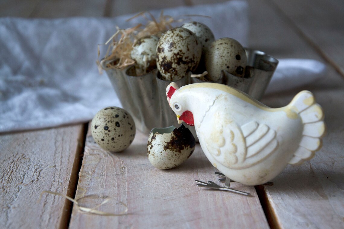 Pecking hen Wind up toy chicken Plastic toy Wind up Etsy