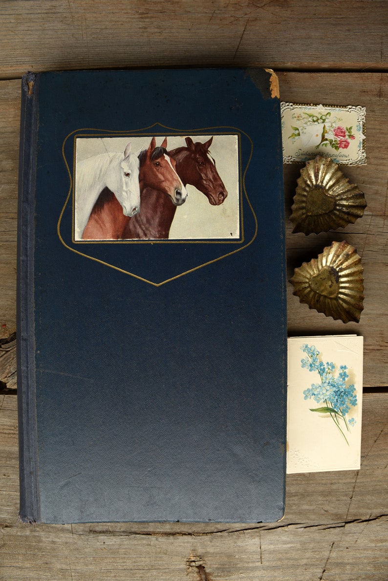 Antique Photo Album Postcard Album Scrapbook Lists Album Etsy
