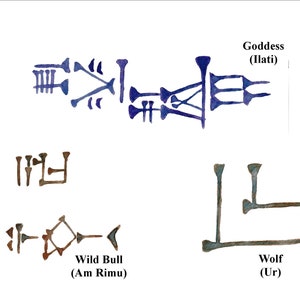 May include: A close-up of four cuneiform symbols, each representing a different word. The symbols are written in brown, blue, and black ink on a white background. The words are "Goddess (Ilati)", "Wild Bull (Am Rimu)", "Wolf (Ur)", and an unidentified word.