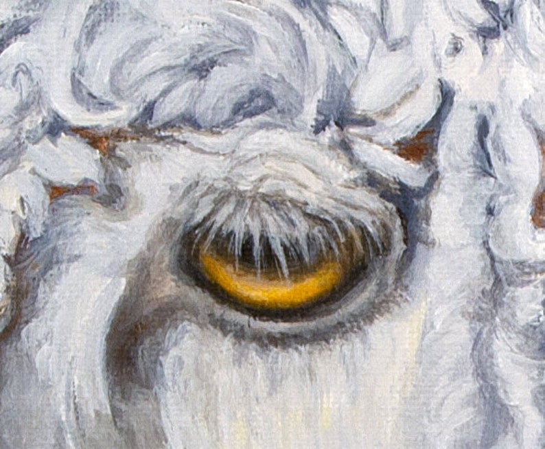 Sheep Leicester Longwool Sheep Giclée Print From Original Etsy