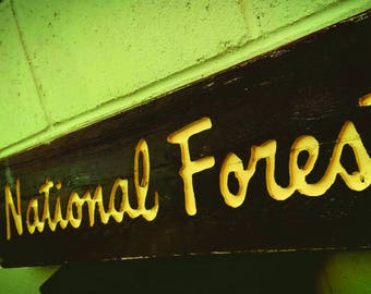 National Forest Script Header Trail Sign