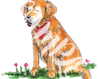 Smiley the Golden Retriever Therapy Dog