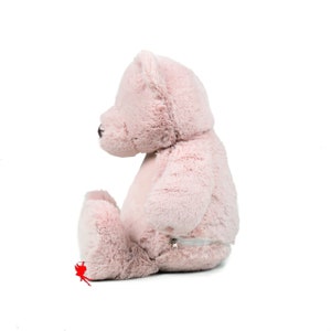 Teddy Bear Cuddly Toy Stuffed Animal with Embroidery Plush Toy Embroidered with Name image 4