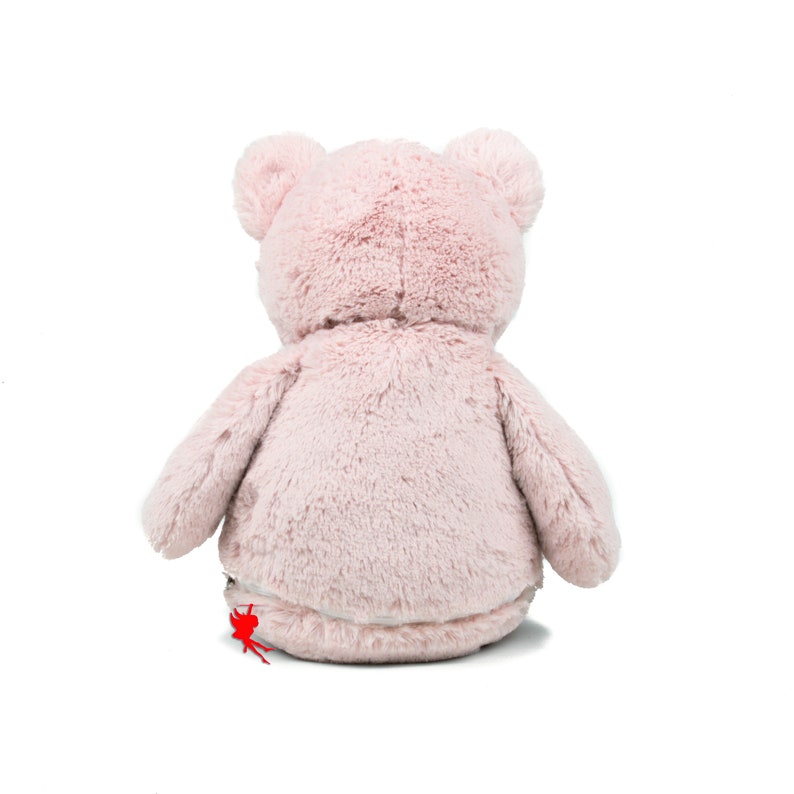 Teddy Bear Cuddly Toy Stuffed Animal with Embroidery Plush Toy Embroidered with Name image 3