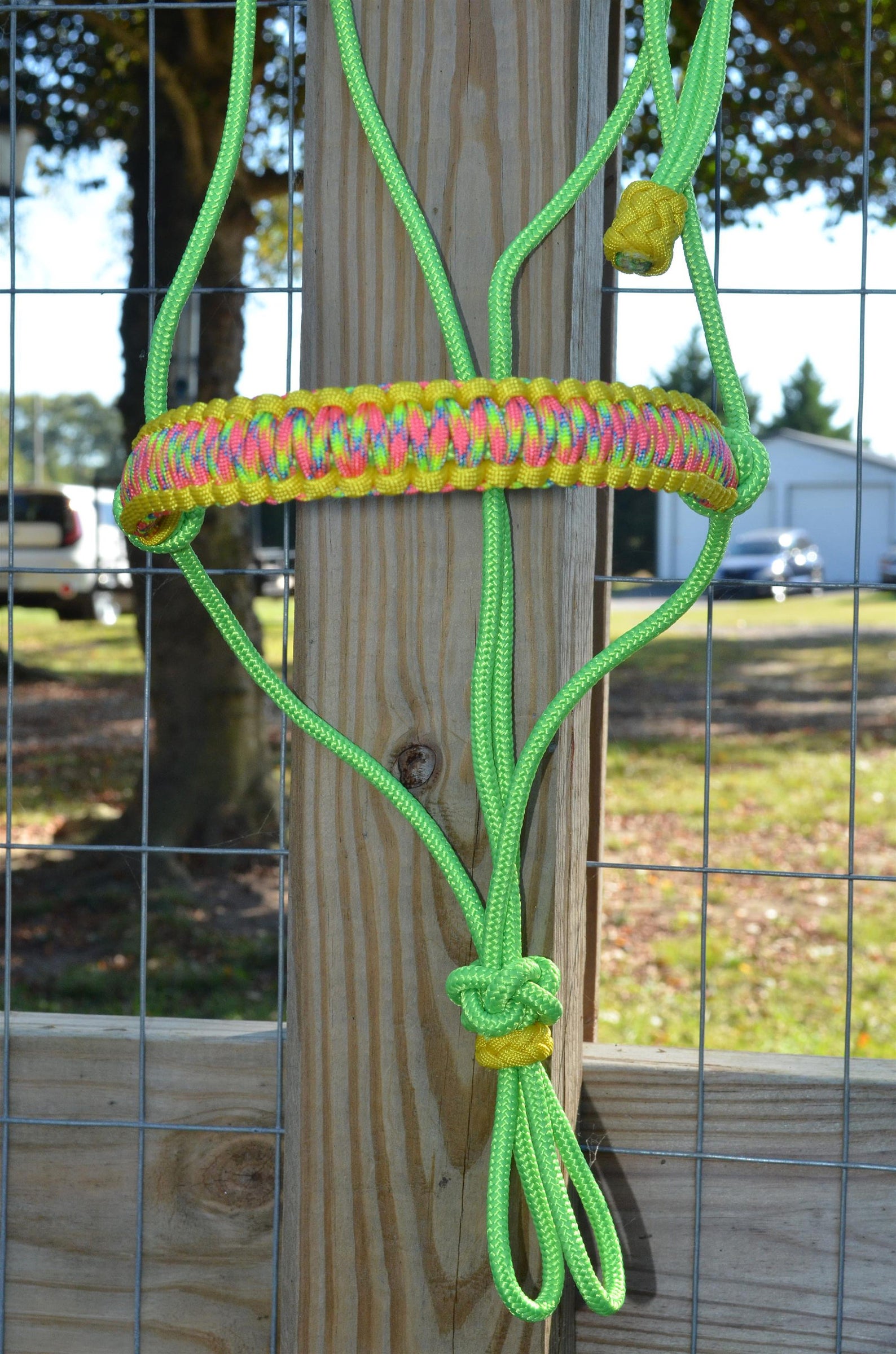 1/4 Premium rope halter with braided paracord noseband Etsy