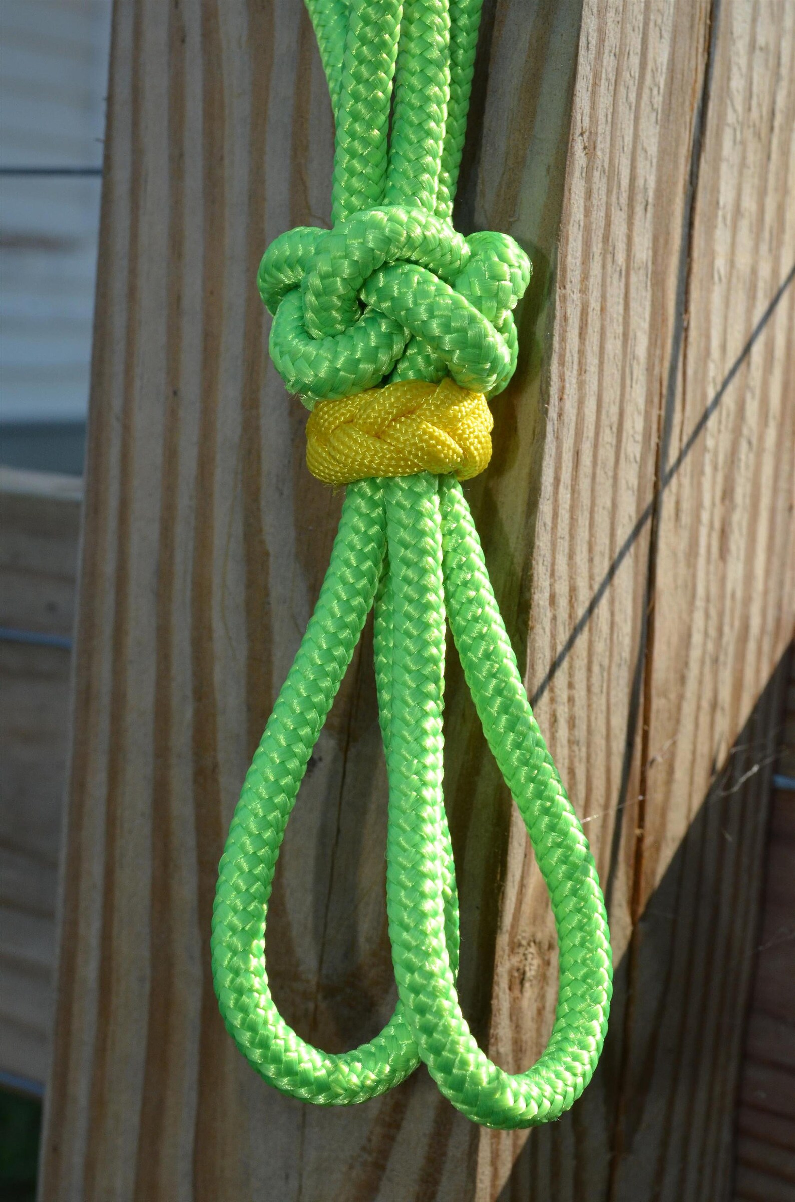 1/4 Premium rope halter with braided paracord noseband Etsy