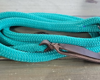 READY TO SHIP - 7' lead rope