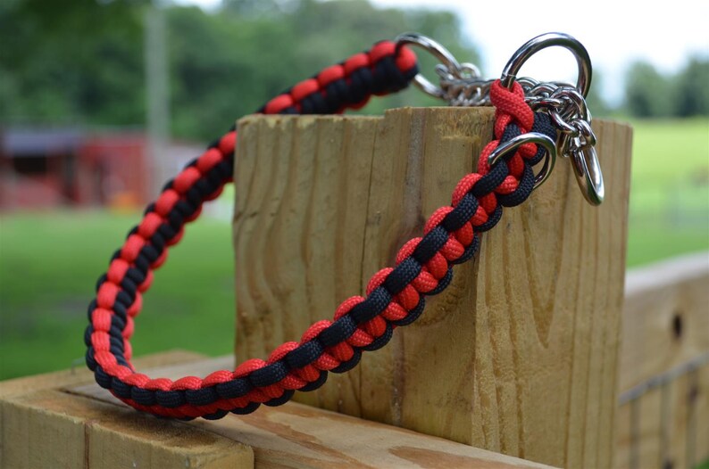 Paracord Martingale Dog Collar Etsy