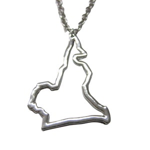 Pode incluir: Um colar de prata com um pingente em forma de contorno de um estado ou região.