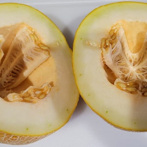 May include: Two halves of a yellow cantaloupe melon, cut open to reveal the light orange flesh and seeds.