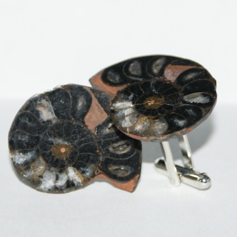 1 Free Gift Bag Groomsmen/'s Gift Unique Wedding by Cufflinked Ammonite Fossil Cufflinks No