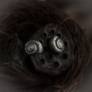 May include: Two silver snail-shaped earrings on a dark background. The earrings are detailed and have a spiral shell design.