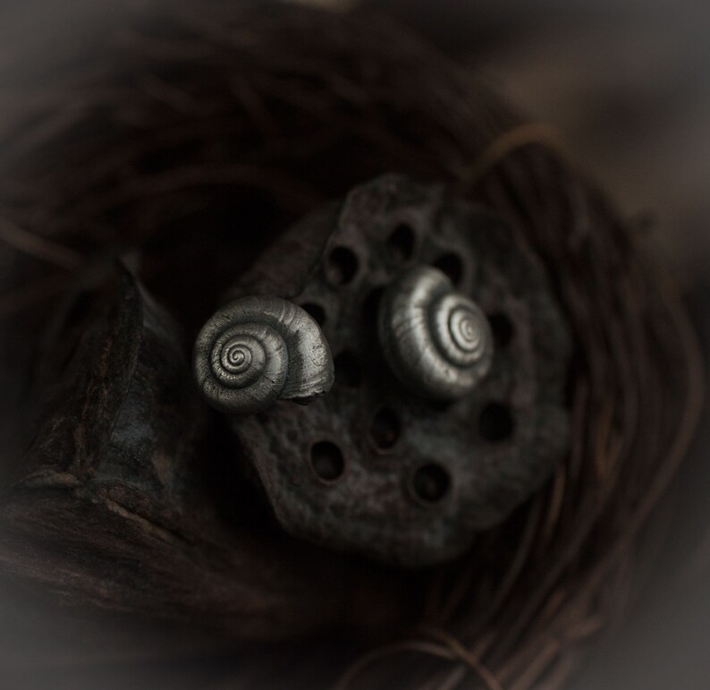 May include: Two silver snail-shaped earrings on a dark background. The earrings are detailed and have a spiral shell design.