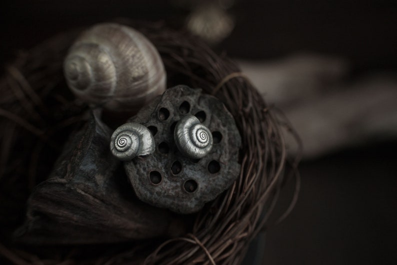 May include: A close-up of three snail shells in a nest of twigs. The shells are different sizes and colors, with one being a light brown and the other two being a silver color.