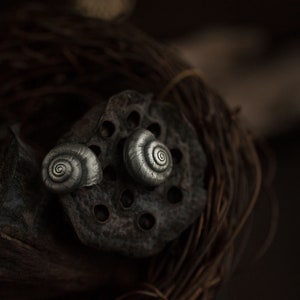 May include: Two silver snail shell earrings on a dark brown background. The shells are detailed and have a spiral pattern.