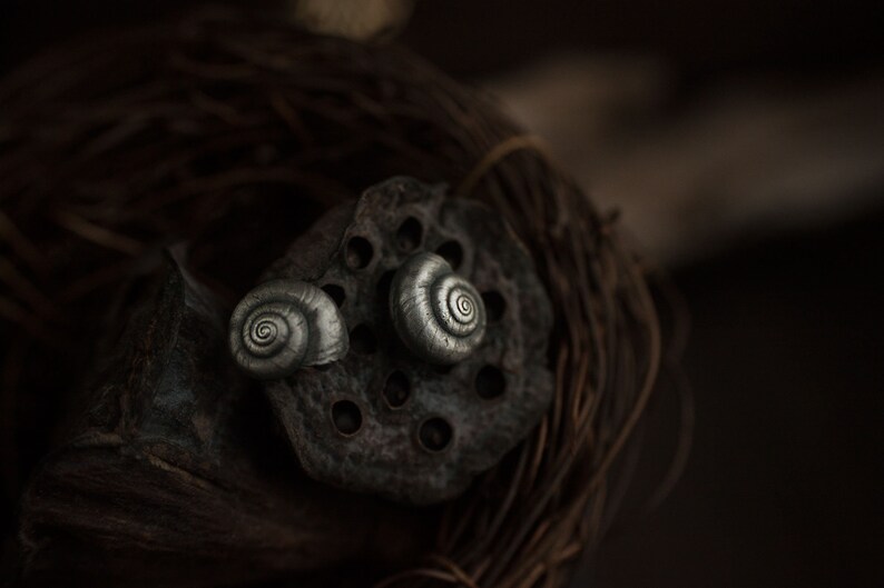 May include: Two silver snail shell earrings on a dark brown background. The shells are detailed and have a spiral pattern.