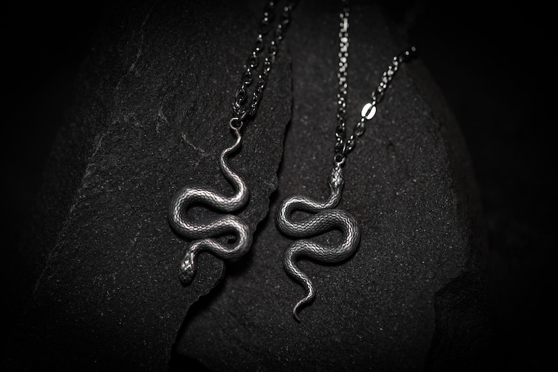 Statement snake silver pendant. Serpent gothic alchemy occult necklace hand made by Ellen Rococo. image 3