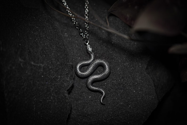 Statement snake silver pendant. Serpent gothic alchemy occult necklace hand made by Ellen Rococo. image 1