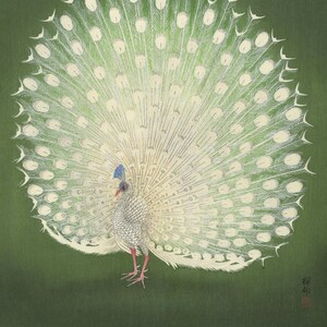 Peacock Art, Peacock Print, Chinoiserie, Art Deco Peacock, Albino Peacock, Green Art, White Art, Art Print,