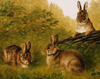 May include: Three brown rabbits in a woodland setting. Two rabbits are sitting on a fallen log, while the third rabbit is sitting in the grass below the log. The rabbits are surrounded by green grass and trees.